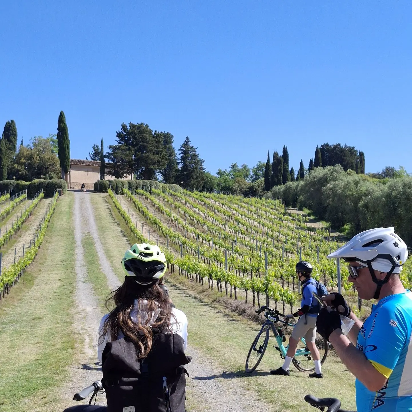 Cyclistes gravel au milieu des vignes en Toscane